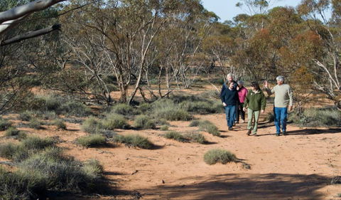 Mallee Stop Walking Track - Accommodation Mermaid Beach 0