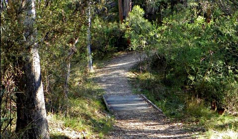 McDirtys Walking Track - Accommodation Mermaid Beach 0