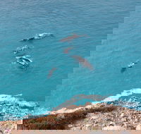 Nullarbor National Park - Accommodation Mermaid Beach