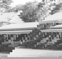 Razorback - Accommodation Mermaid Beach