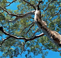 Ridge Walking Track - Accommodation Mermaid Beach