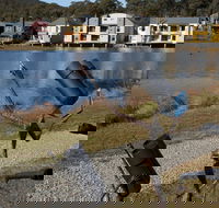 Sculpture Trail at Lake Crackenback Resort and Spa - Accommodation Mermaid Beach