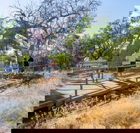 Timber Creek - Accommodation Mermaid Beach