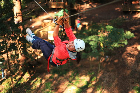 Trees Adventure - Glen Harrow Park - Accommodation Mermaid Beach 0