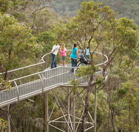 Walpole Wilderness Discovery Centre - Accommodation Mermaid Beach
