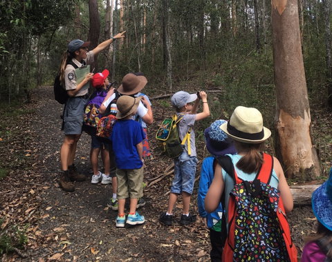 Walkabout Creek Discovery Centre - Accommodation Mermaid Beach 1