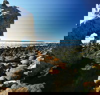 Wallabi Point - Accommodation Mermaid Beach