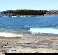 Wasp Head Picnic Area - Accommodation Mermaid Beach