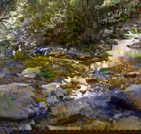 Washpool Walking Track - Accommodation Mermaid Beach