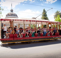 Bendigo Tramways Vintage Talking Tram - Accommodation Mermaid Beach