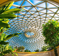 Brisbane Botanic Gardens Mount Coot-tha - Accommodation Mermaid Beach