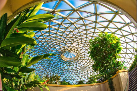 Brisbane Botanic Gardens Mount Coot-tha - Accommodation Mermaid Beach 0