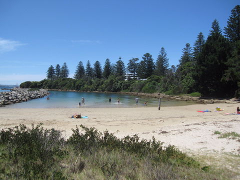 Bruce Steer Pool - Accommodation Mermaid Beach 1