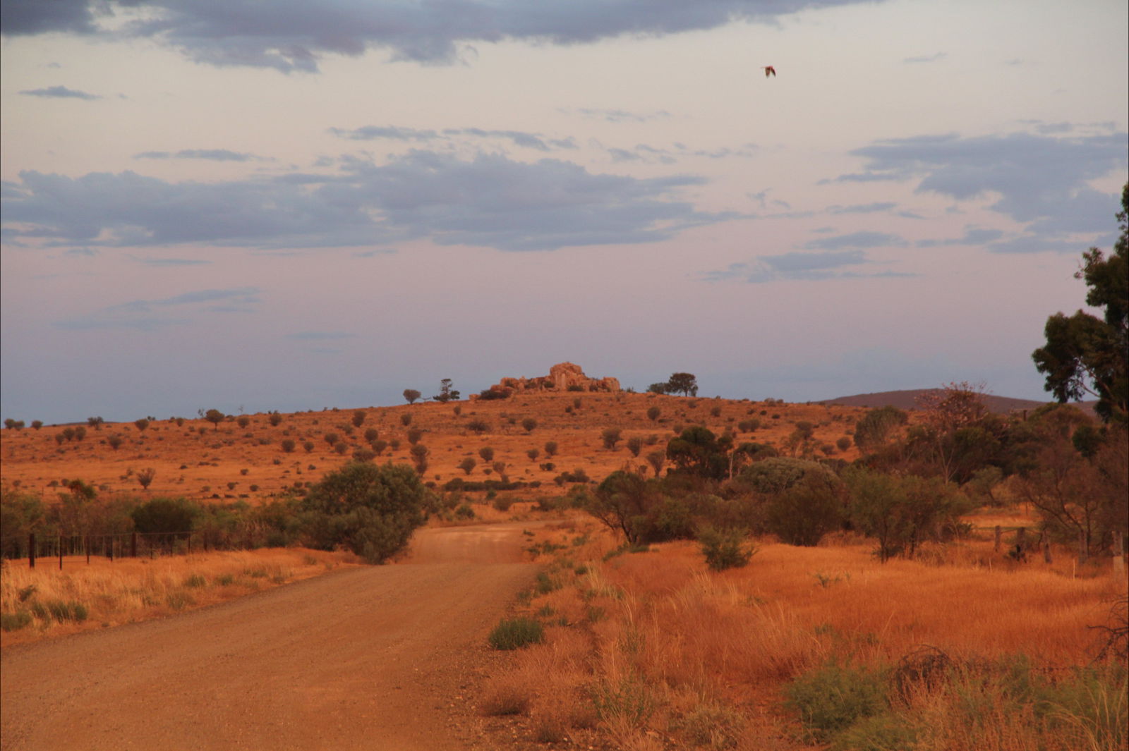 Flinders Ranges And Outback SA Accommodation Mermaid Beach