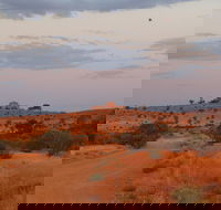 Castle Rock walk and Lookout - Accommodation Mermaid Beach