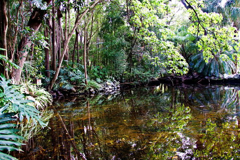 Cascade Gardens - Accommodation Mermaid Beach 2
