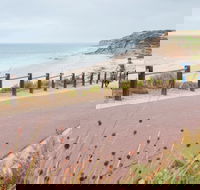 Coast to Vines Rail Trail - Accommodation Mermaid Beach