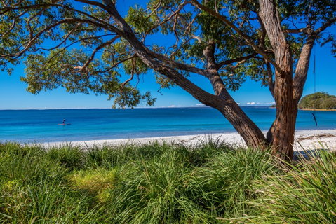 Collingwood Beach - Accommodation Mermaid Beach 0