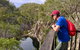 Crows Nest Falls - thumb 1
