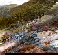 Gibraltar Range National Park - Accommodation Mermaid Beach