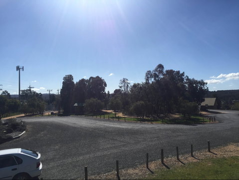 Grenfell Endemic Garden - Accommodation Mermaid Beach 1