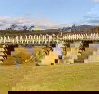 Historic Tabulam DeBurgh Timber Bridge - Accommodation Mermaid Beach