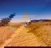 Irwin River Nature Trail - Accommodation Mermaid Beach