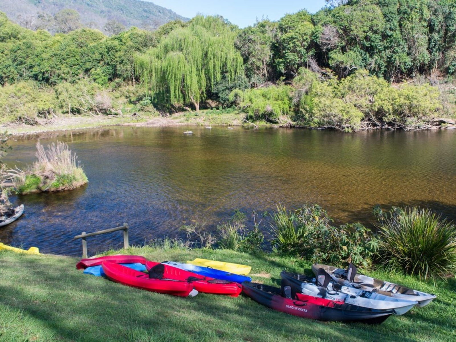 Knorrit Forest NSW Accommodation Mermaid Beach