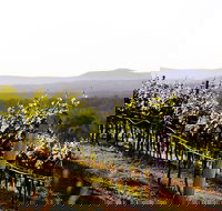 Mount View - Accommodation Mermaid Beach