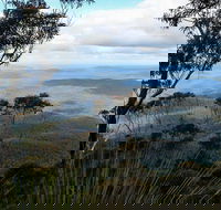 Mount Imlay National Park - Accommodation Mermaid Beach
