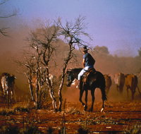 Outback Heritage and Coal Adventure - Accommodation Mermaid Beach