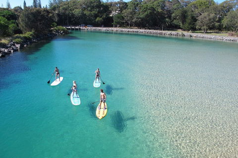 Paddleboard At Back Creek South West Rocks - Accommodation Mermaid Beach 0