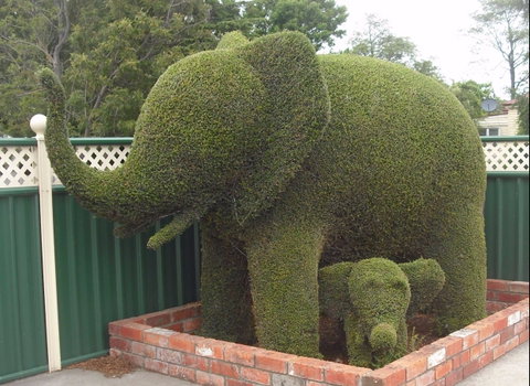 Railton: Town Of Topiary - Accommodation Mermaid Beach 0