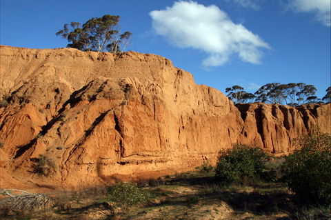 Red Banks Conservation Park - Accommodation Mermaid Beach 0