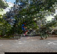 Samford Valley Rail Trail - Accommodation Mermaid Beach