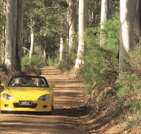 Scotsdale Tourist Drive - Accommodation Mermaid Beach