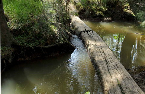Second Ponds Creek Walk - Accommodation Mermaid Beach 0
