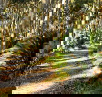 Square Head Track 2 - Accommodation Mermaid Beach