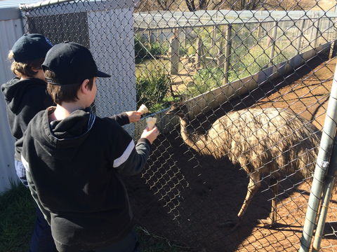 Taralga Wildlife Park - Accommodation Mermaid Beach 2