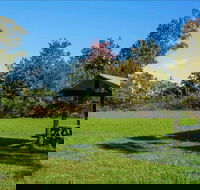 Tunks Hill picnic area - Accommodation Mermaid Beach