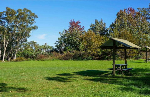 Tunks Hill Picnic Area - Accommodation Mermaid Beach 0