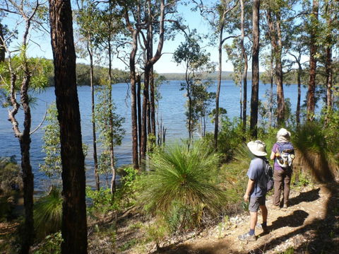 Wellington Discovery Forest - Accommodation Mermaid Beach 0