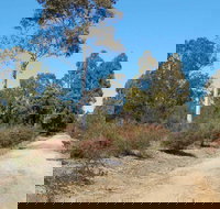 Werakata National Park - Accommodation Mermaid Beach