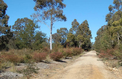 Werakata National Park - Accommodation Mermaid Beach 0