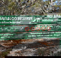 Wilabalangaloo Reserve - Accommodation Mermaid Beach