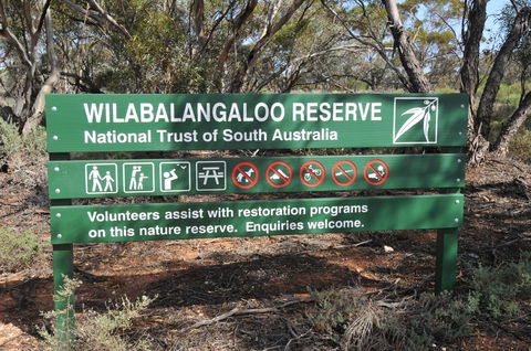 Wilabalangaloo Reserve - Accommodation Mermaid Beach 0