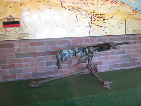 Woodpecker Gun - Accommodation Mermaid Beach 0
