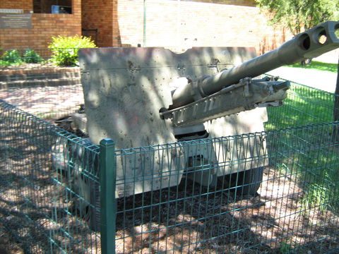 Woodpecker Gun - Accommodation Mermaid Beach 1