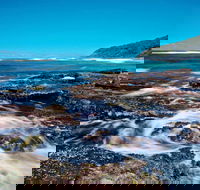 Wyrrabalong National Park - Accommodation Mermaid Beach