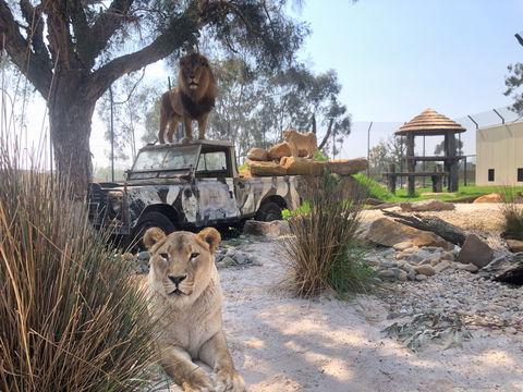 Zambi Wildlife Retreat - Accommodation Mermaid Beach 0